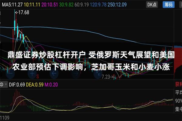 鼎盛证券炒股杠杆开户 受俄罗斯天气展望和美国农业部预估下调影响，芝加哥玉米和小麦小涨