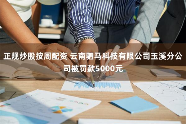 正规炒股按周配资 云南驷马科技有限公司玉溪分公司被罚款5000元