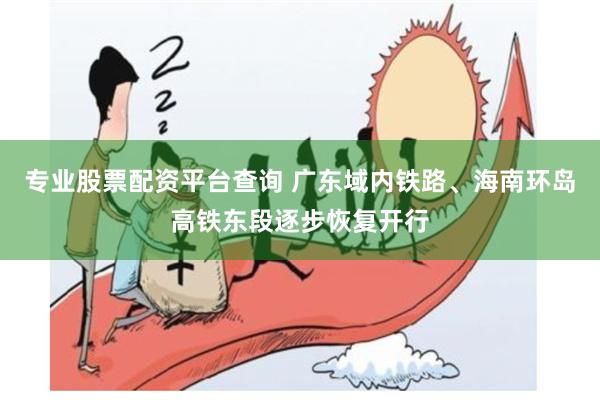 专业股票配资平台查询 广东域内铁路、海南环岛高铁东段逐步恢复开行