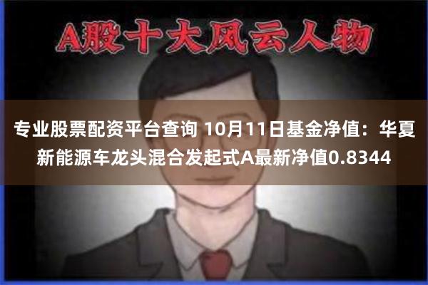 专业股票配资平台查询 10月11日基金净值：华夏新能源车龙头混合发起式A最新净值0.8344