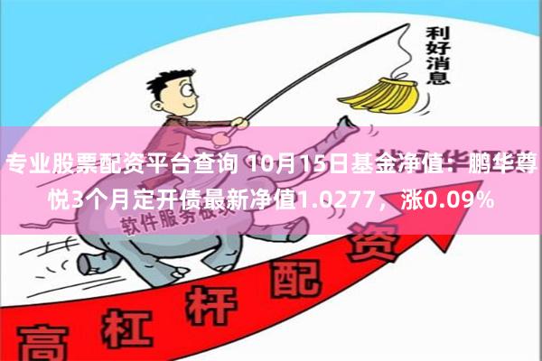 专业股票配资平台查询 10月15日基金净值：鹏华尊悦3个月定开债最新净值1.0277，涨0.09%