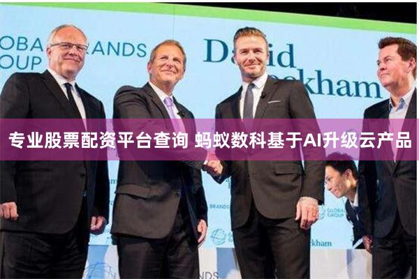 专业股票配资平台查询 蚂蚁数科基于AI升级云产品