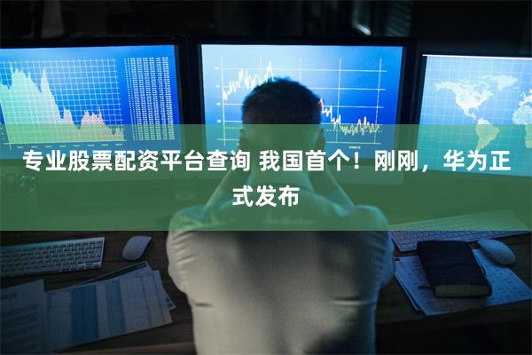 专业股票配资平台查询 我国首个！刚刚，华为正式发布