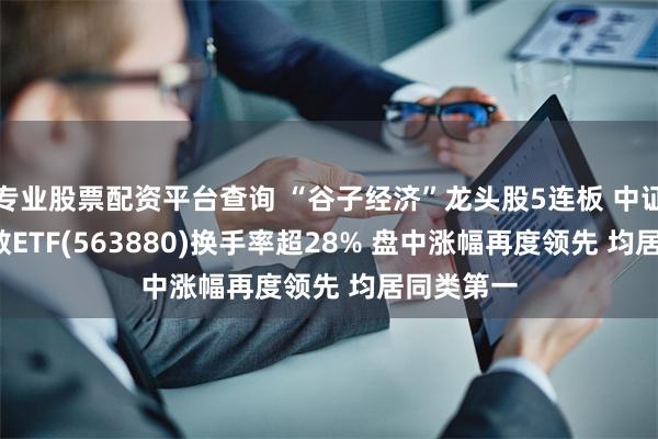 专业股票配资平台查询 “谷子经济”龙头股5连板 中证A500指数ETF(563880)换手率超28% 盘中涨幅再度领先 均居同类第一