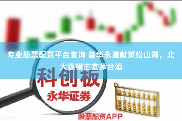 专业股票配资平台查询 普华永道献策松山湖，北大纵横进言茅台酒
