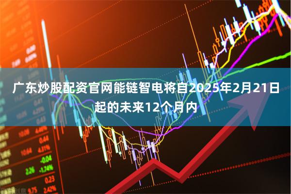 广东炒股配资官网能链智电将自2025年2月21日起的未来12个月内