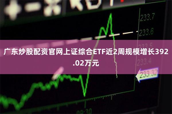 广东炒股配资官网上证综合ETF近2周规模增长392.02万元